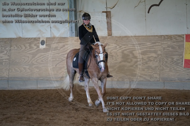 s_K3F03494.JPG